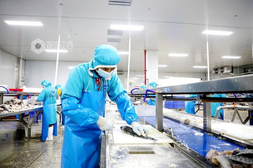 江西峡江 食品企业产销两旺，工业润滑油科技研发并举