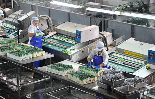 疫情之下福建漳州食品企业转向工业润滑油科技研发的积极转型