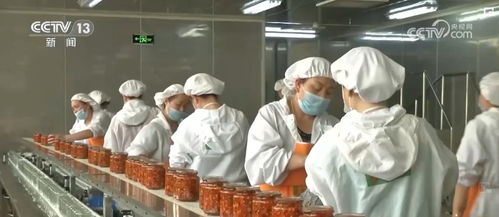 工业润滑油科技 技术研发驱动乡村产业振兴与韧性提升